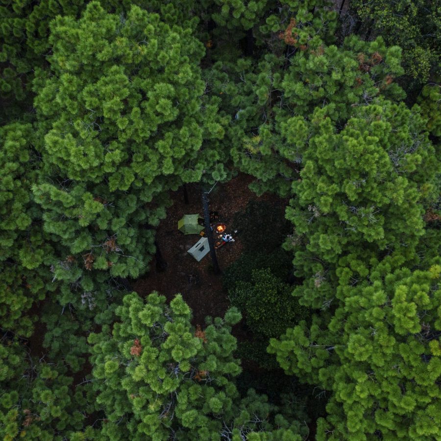 Aerial overlooking Pines Campground in Olney State Forest, Lake Macquarie.